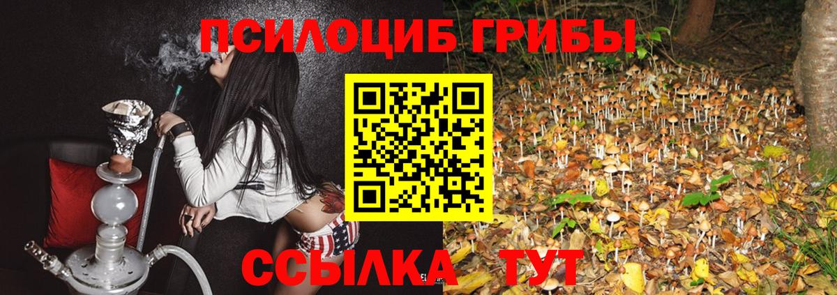 Псилоцибиновые грибы мухоморы Глазов